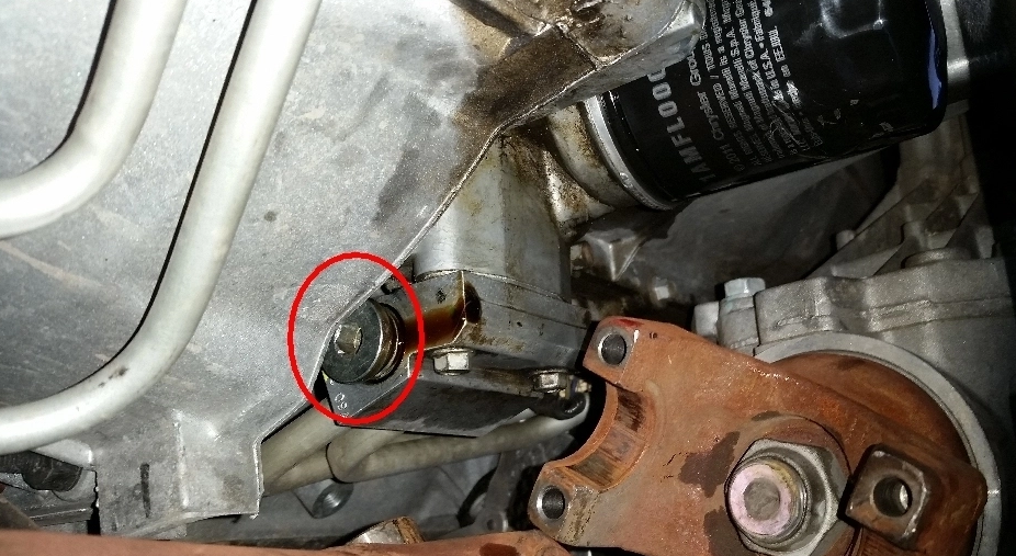 What can be the most common condition of 5.3 Vortec Engine Oil Leaks 